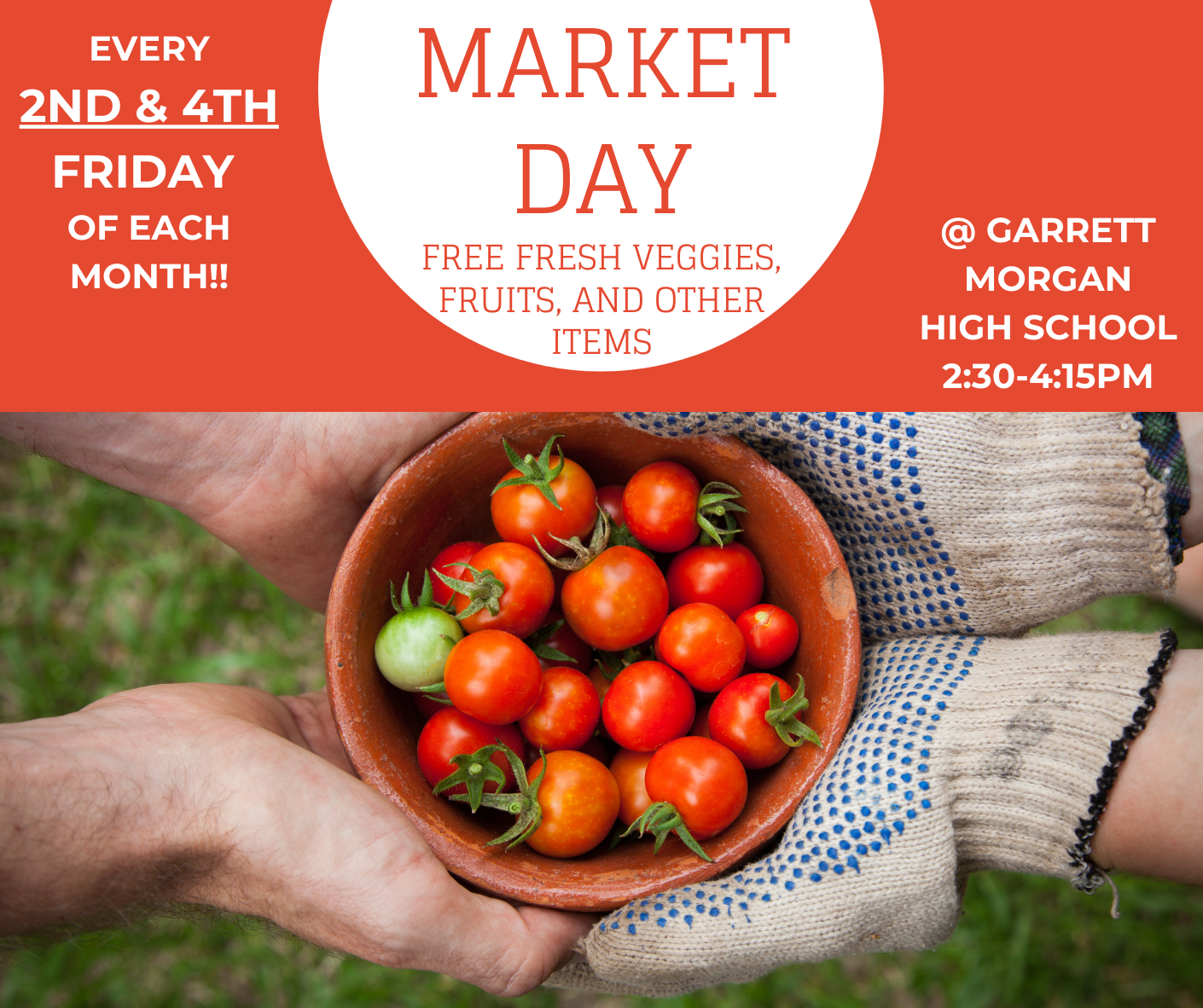 Market Day
